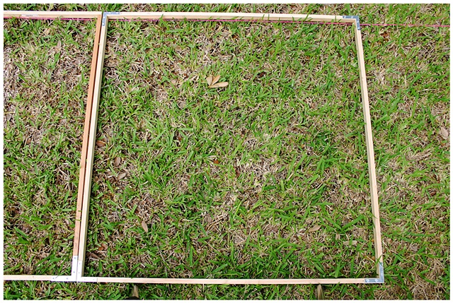 Planting Into the Grid, 2009 Row 2, Image 13, July 24, 2010