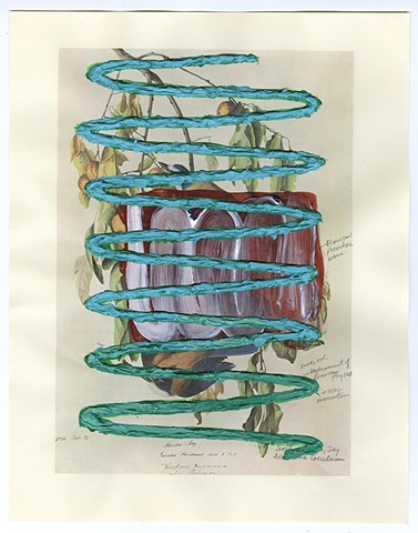 Audubon Print, Algoritmic art, inkjet print with painting, diagrams, algorithmic beauty plant, calligraphy, Steven Breaux.