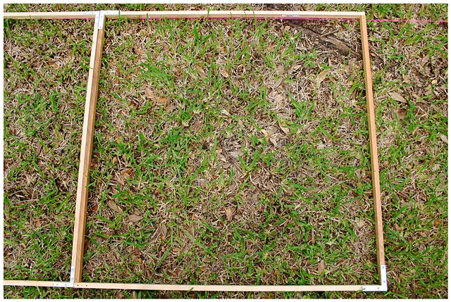 Planting Into the Grid, 2009 Row 2, Image 31, July 24, 2010