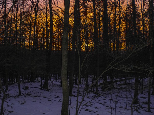 2013 Ice Catskill Mountain Winter Sunrise