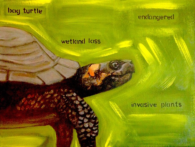 Bog Turtle / Climate Change Series #2