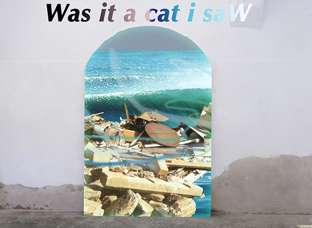 Was it a cat i saW