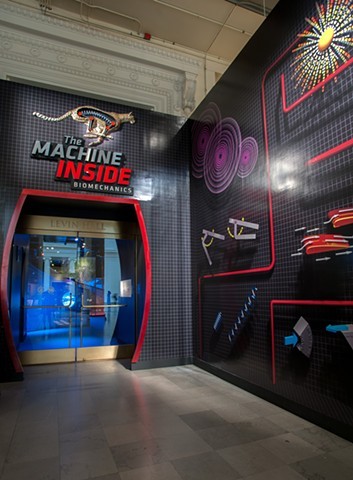Video footage of the “The Machine Inside: Biomechanics” exhibition