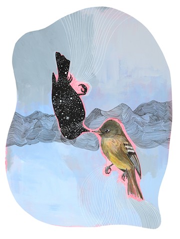 Disappearing Birds of North America: Cordilleran Flycatcher