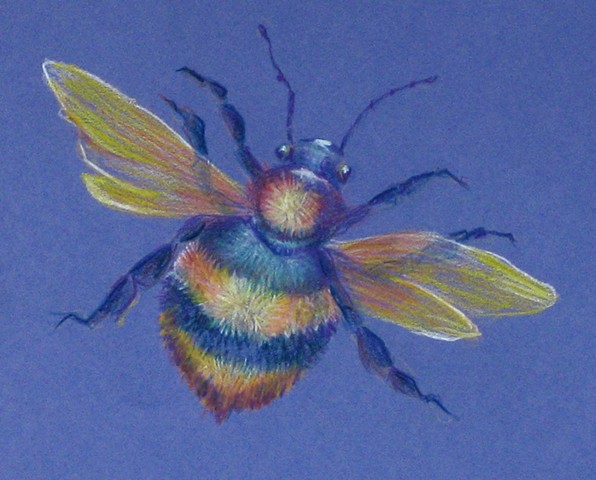 Pencil Bee No. 1
