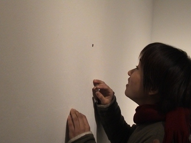 Installation - "Life"
Contemporary Art Factory, Tokyo