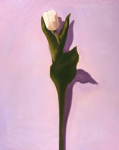 Beautiful solitary white tulip on a lavender background. This is an original oil painting, rendered on canvas, by Linda Boucher