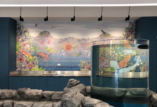 From Sea to Shore - PDZA Touch Tank Mural