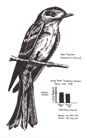 Untitled: North American Field Guide Series
Alder Flycatcher
United States Presidential Election 2008
(Popular Vote)