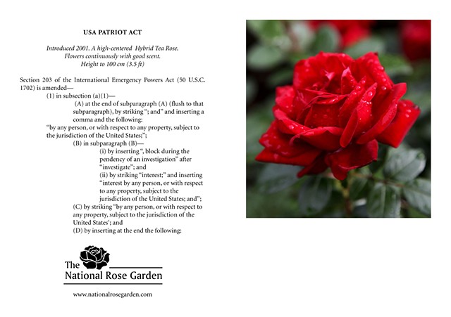 Selections From The National Rose Garden Notecard
USA Patriot Act
