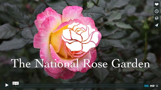 Welcome to The National Rose Garden