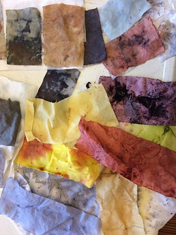 natural dyes