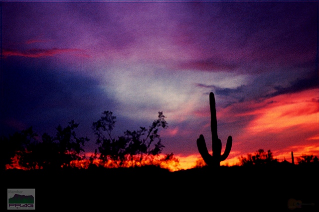 Ron Schoonejongen Photography and Digital Art - Desert Sunset Gallery