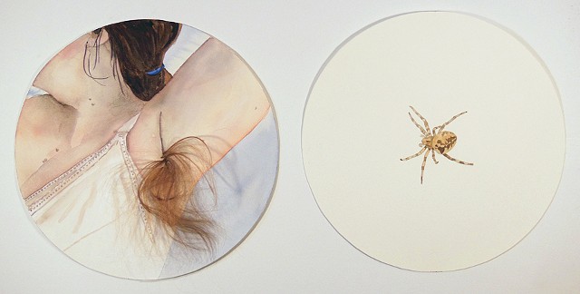 Untitled (hair & spider)