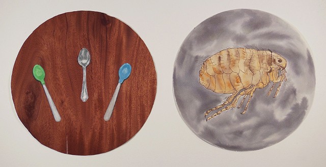 Untitled (spoons & flea)