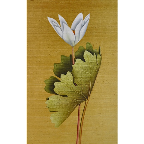 Bloodroot on gold