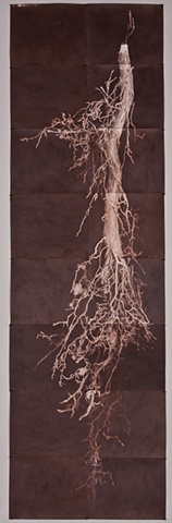 Vandyke Brown Prints, a historical and alternative photographic process from a scanned object