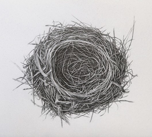 Untitled (Nest)