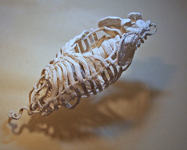 Mixed media sculpture of ribcage and spinal cord.