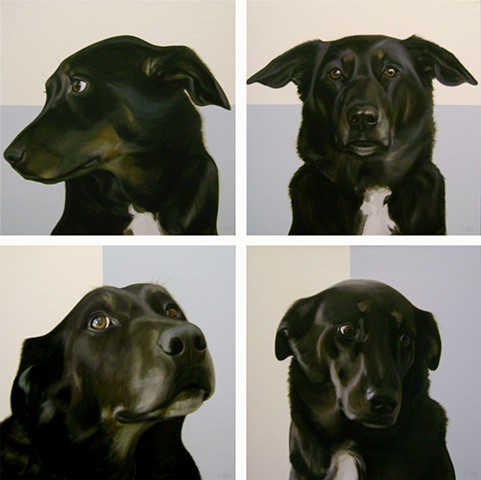 IN THE RUFF (IN MEMORY OF RUBY) POLYPTYCH