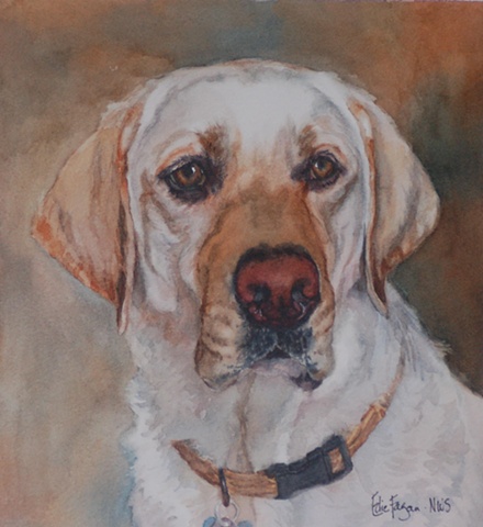 watercolor dog portrait by Edie Fagan Adored Dogs watercolor painting of dog watercolor painting of Labrador Retriever