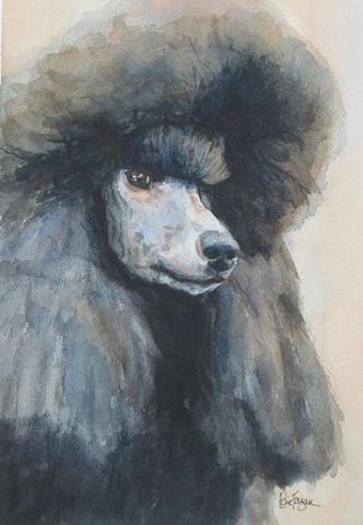Edie Fagan Adored Dogs watercolor portrait of dog watercolor painting of standard black poodle show dog