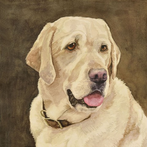 Watercolor painting of Yellow Lab, Yellow Labrador Retriever by Edie Fagan