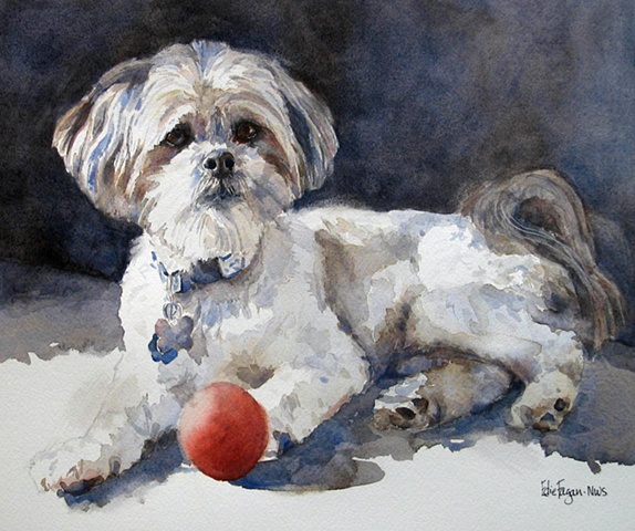 Edie Fagan Adored Dogs watercolor portrait of dog watercolor painting of mix breed dog shih tzu llasso apso