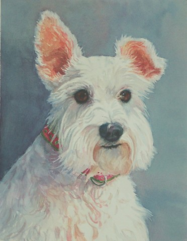 dog portrait of schnauzer by Edie Fagan Adored Dogs