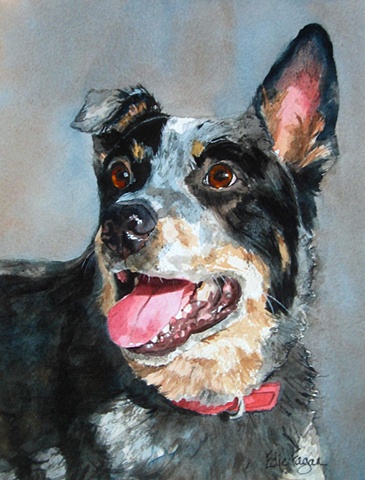 Edie Fagan Adored Dogs watercolor portrait of dog watercolor painting of Australian Cattledog cattle dog
