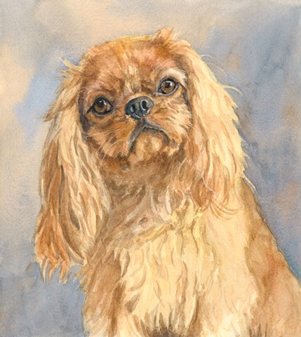 Ruby Cavalier King Charles Spaniel watercolor painting by Edie Fagan Adored Dogs