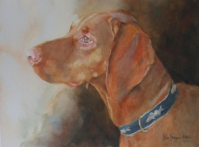 Edie Fagan Adored Dogs watercolor portrait of dog watercolor painting of Vizsla Hungarian dog