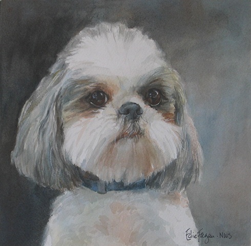 Edie Fagan Adored Dogs watercolor portrait of dog watercolor painting of Shih tzu