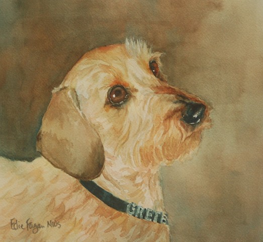 wire haired dachshund watercolor painting by Edie Fagan