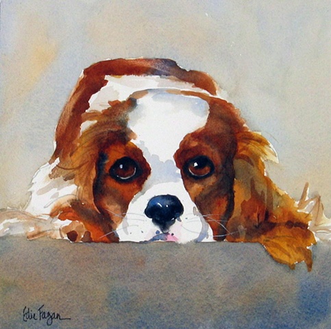 watercolor dog portrait by Edie Fagan Adored Dogs watercolor painting of  dog watercolor painting of Cavalier King Charles Spaniel dog