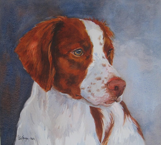 Edie Fagan Adored Dogs watercolor painting of dog watercolor painting of Brittany spaniel dog