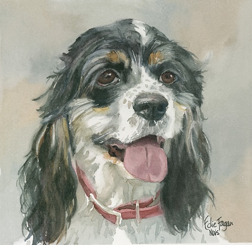 Edie Fagan Adored Dogs watercolor portrait of dog watercolor painting of cocker spaniel dog