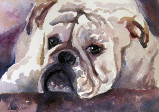 Edie Fagan Adored Dogs watercolor portrait of dog English Bull Dog painting bulldog