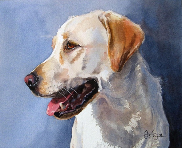 watercolor dog portrait of Labrador Retriever by Edie Fagan Adored Dogs painting 