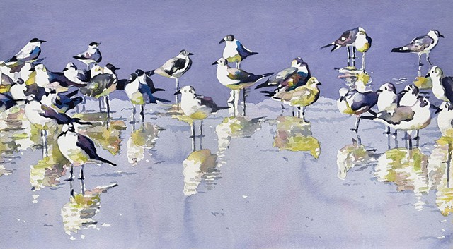 sea gulls, beach birds, original watercolor by Edie Fagan
