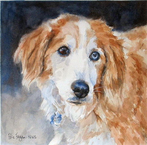Edie Fagan Adored Dogs watercolor portrait of dog watercolor painting of border collie mix