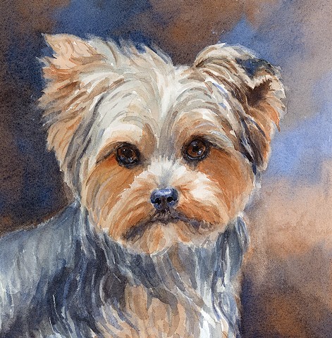 watercolor dog portrait of Yorkie by Edie Fagan Adored Dogs painting Yorkshire terrier