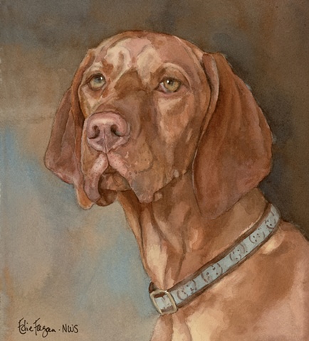 Edie Fagan Adored Dogs watercolor portrait of dog watercolor painting of Vizsla Hungarian brown dog
