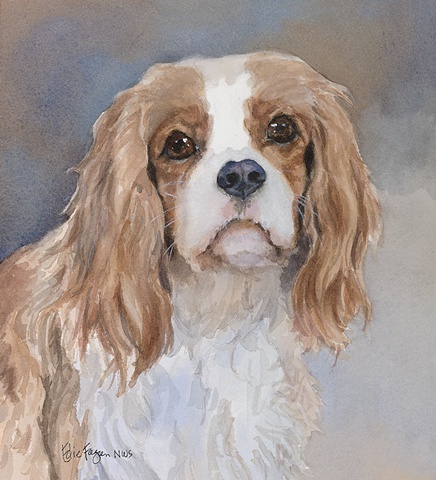 Spaniel dog Blenheim watercolor dog portrait of Cavalier King Charles Spaniel by Edie Fagan Adored Dogs painting 