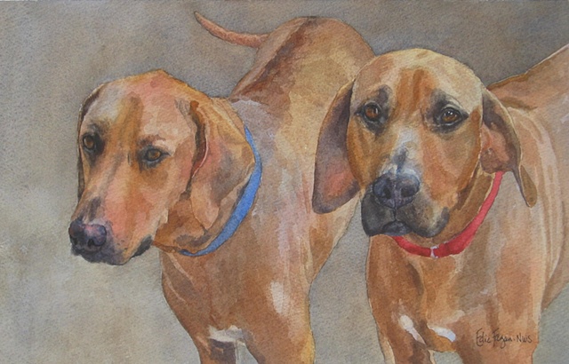 watercolor painting of Rhodesian ridgeback dogs
