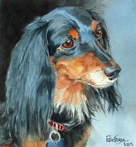Edie Fagan Adored Dogs watercolor portrait of dog watercolor painting of longhaired dachshund dog long-haired
