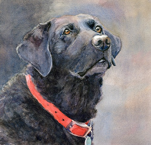 Black Labrador, Lab, watercolor painting by Edie Fagan Adored Dogs