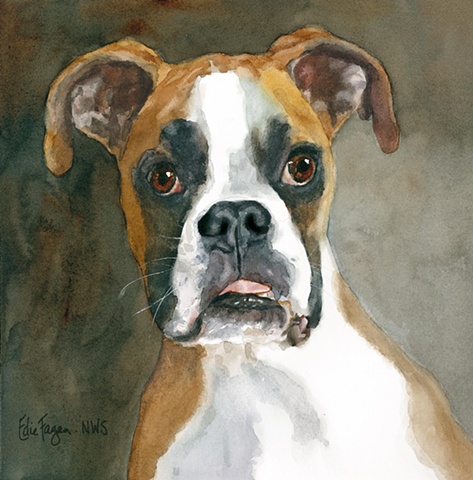 Edie Fagan Adored Dogs watercolor painting of dog watercolor painting of boxer dog