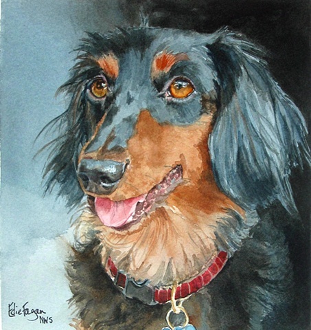 Edie Fagan Adored Dogs watercolor portrait of dog watercolor painting of longhaired dachshund long-haired