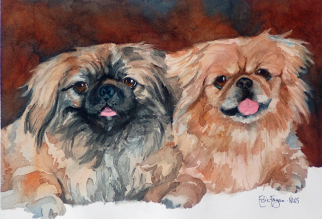 watercolor painting of pomeranian pekingnese dog